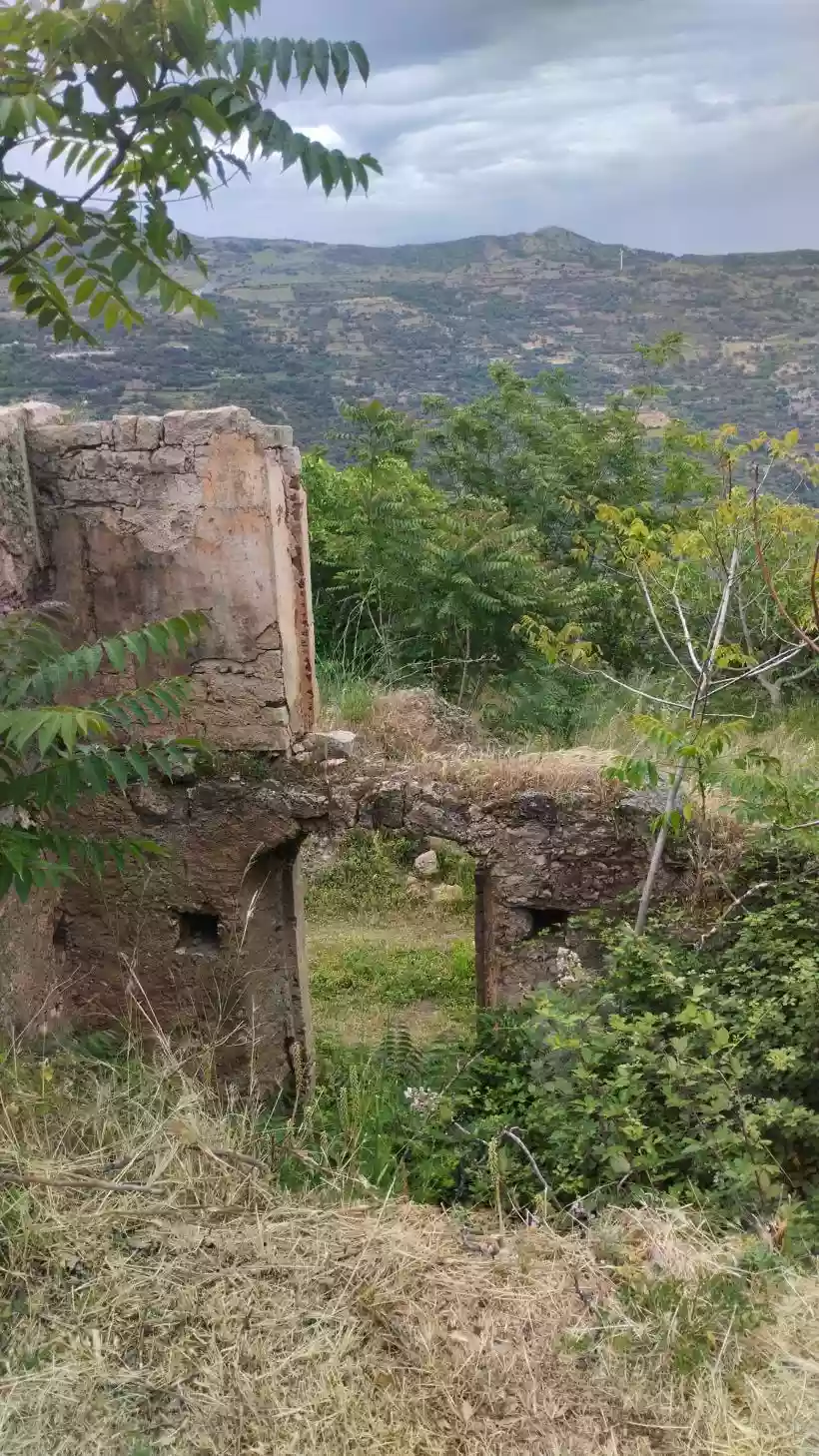 Ingrandisci questa immagine