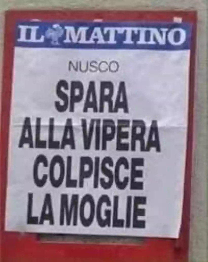 Ingrandisci questa immagine