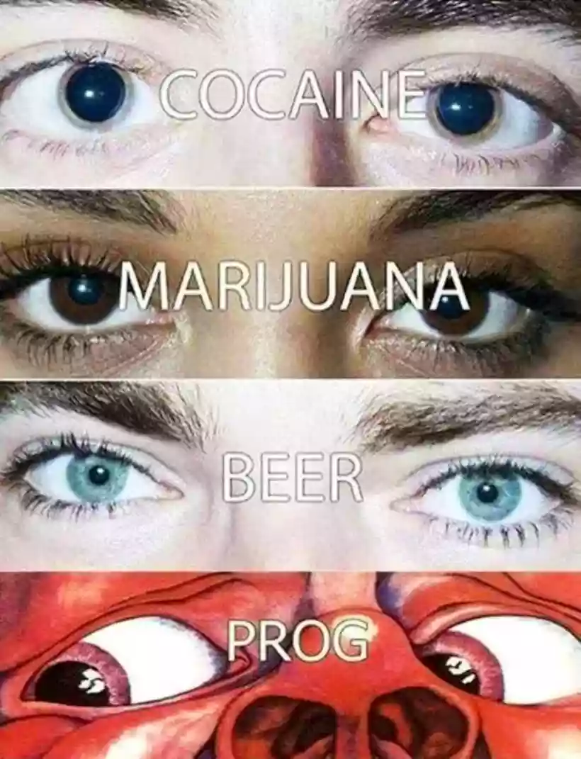 Ingrandisci questa immagine