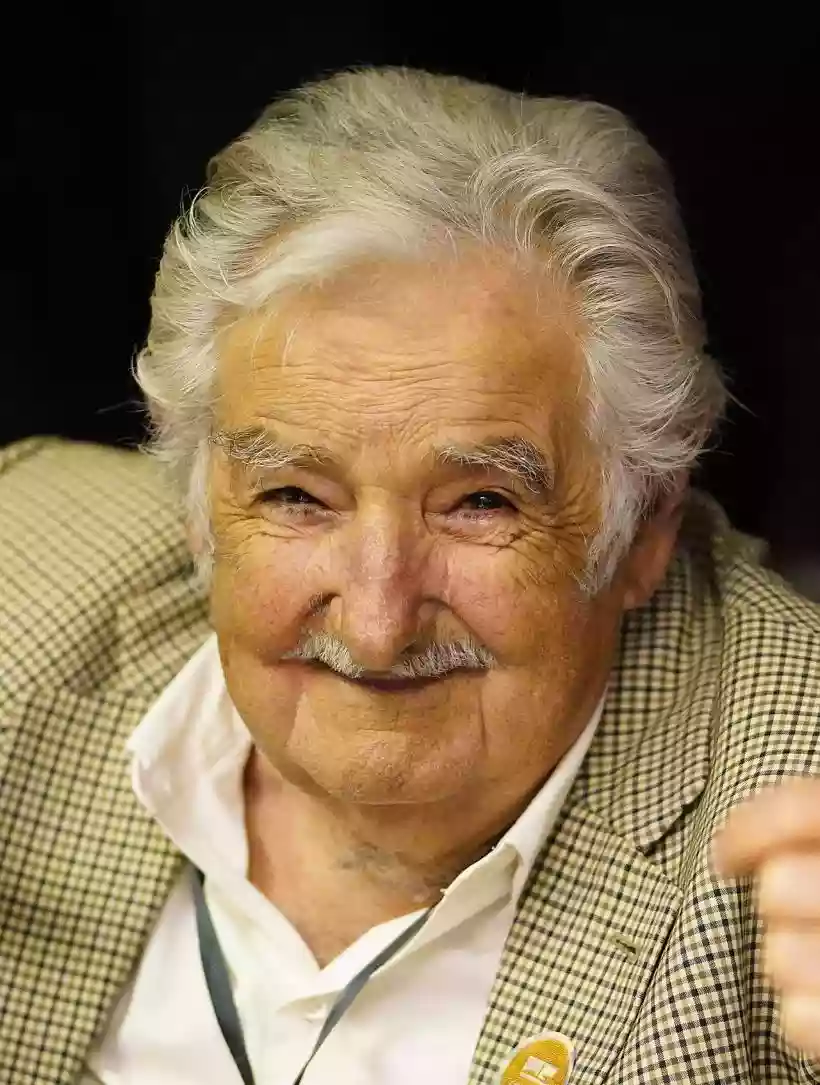 Ingrandisci questa immagine