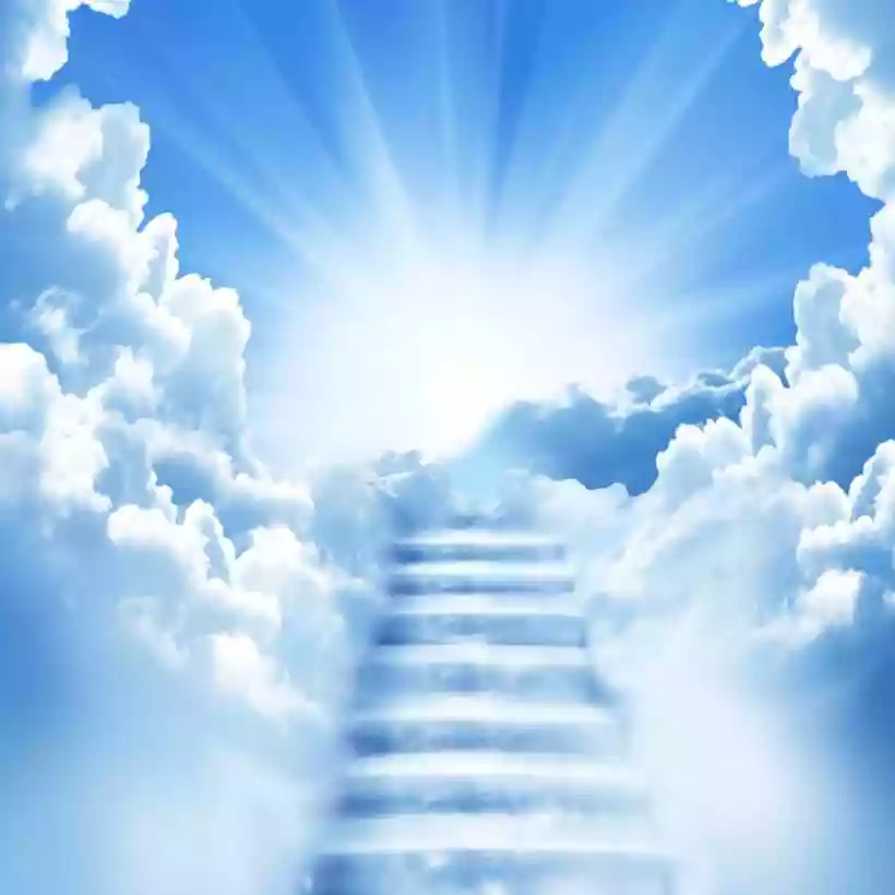 Ingrandisci questa immagine