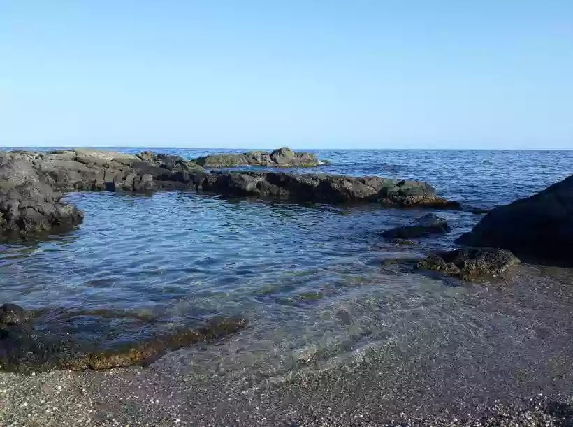 Ingrandisci questa immagine