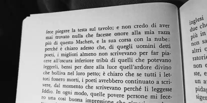 Ingrandisci questa immagine