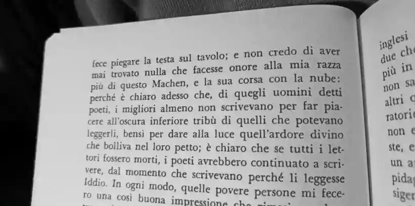 Ingrandisci questa immagine