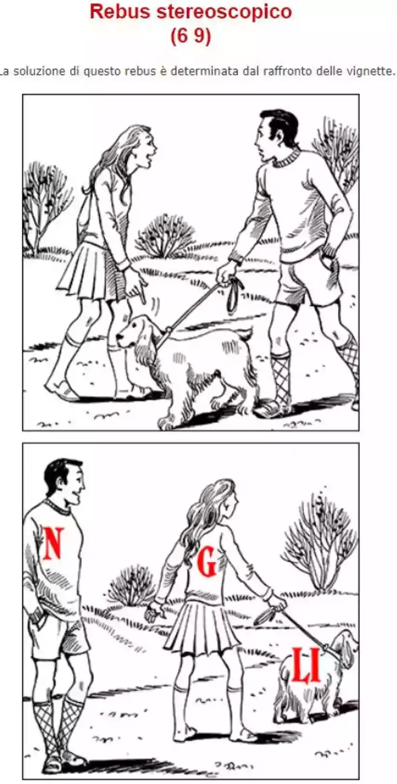 Ingrandisci questa immagine