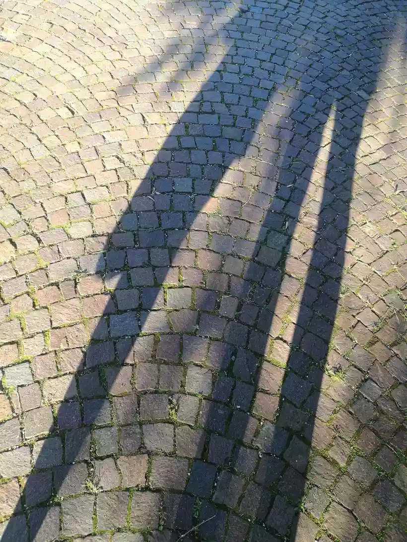 Ingrandisci questa immagine
