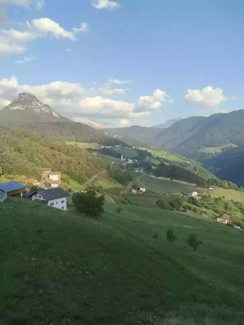 Ingrandisci questa immagine