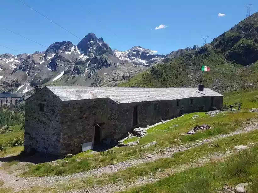 Ingrandisci questa immagine