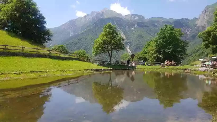 Ingrandisci questa immagine