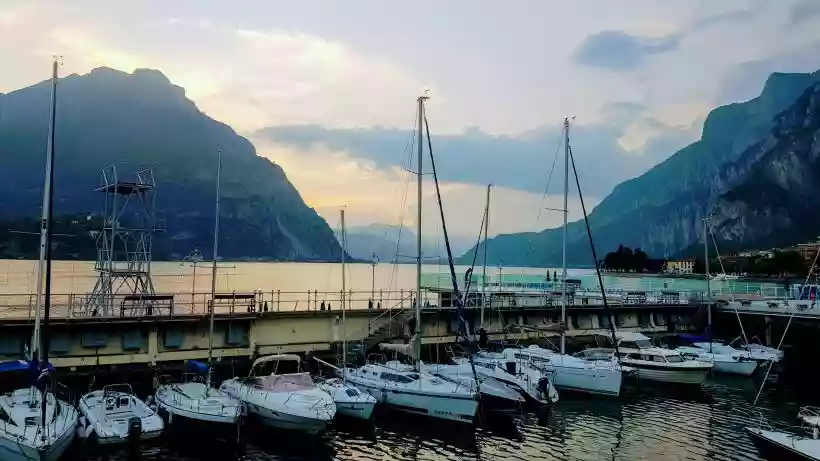 Ingrandisci questa immagine