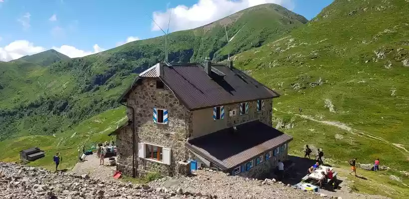 Ingrandisci questa immagine