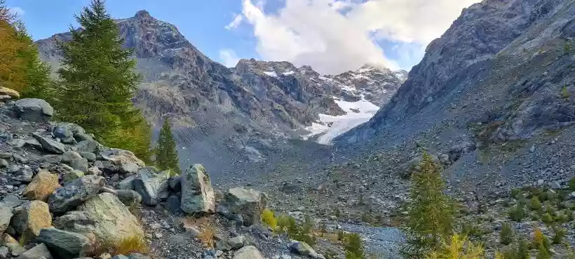 Ingrandisci questa immagine