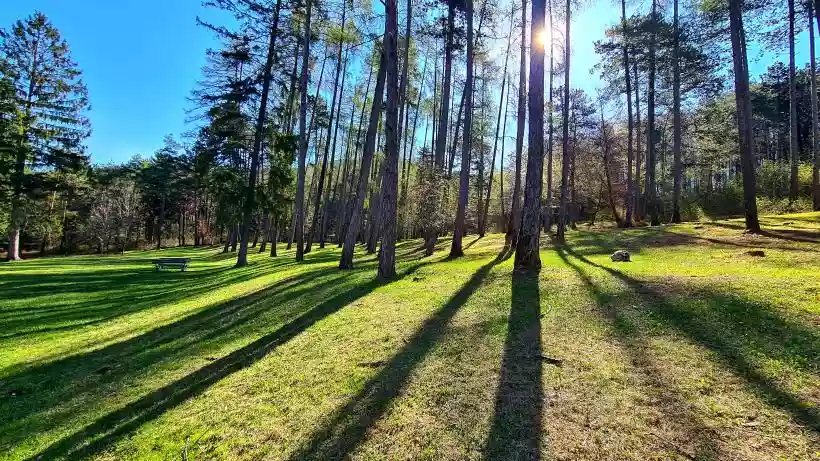 Ingrandisci questa immagine