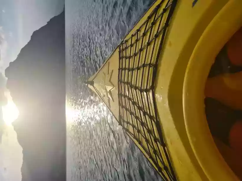 Ingrandisci questa immagine