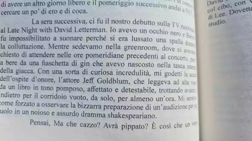 Ingrandisci questa immagine