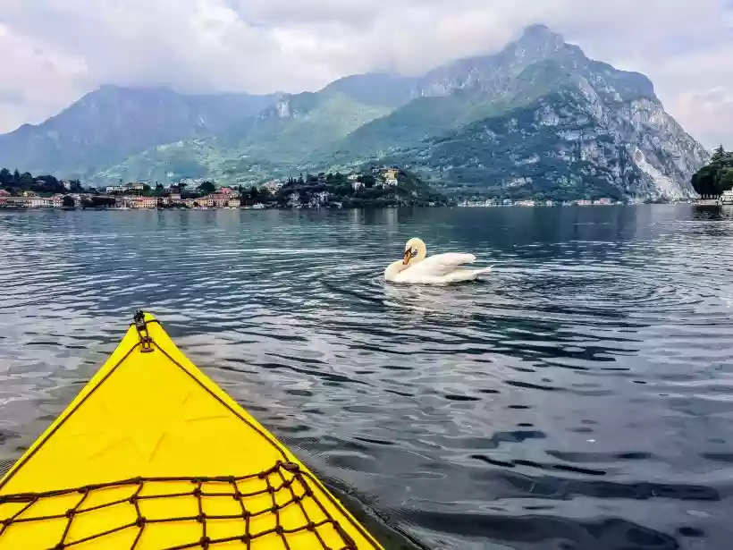 Ingrandisci questa immagine