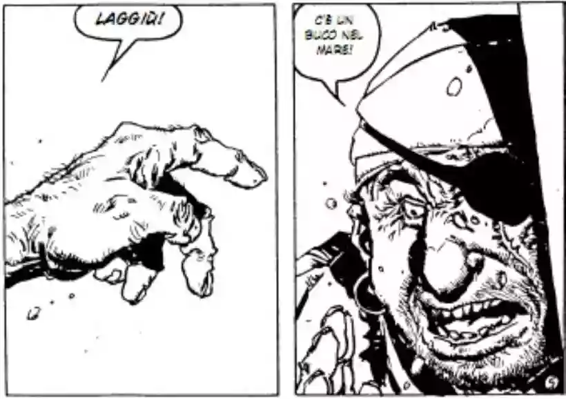 Ingrandisci questa immagine