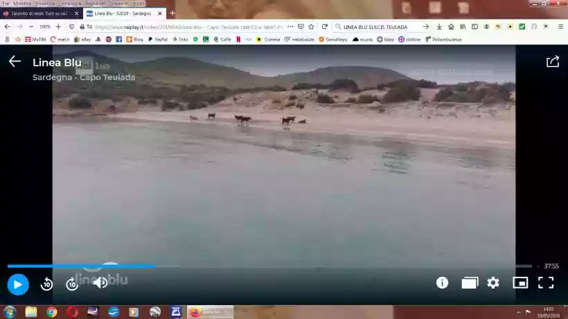 Ingrandisci questa immagine