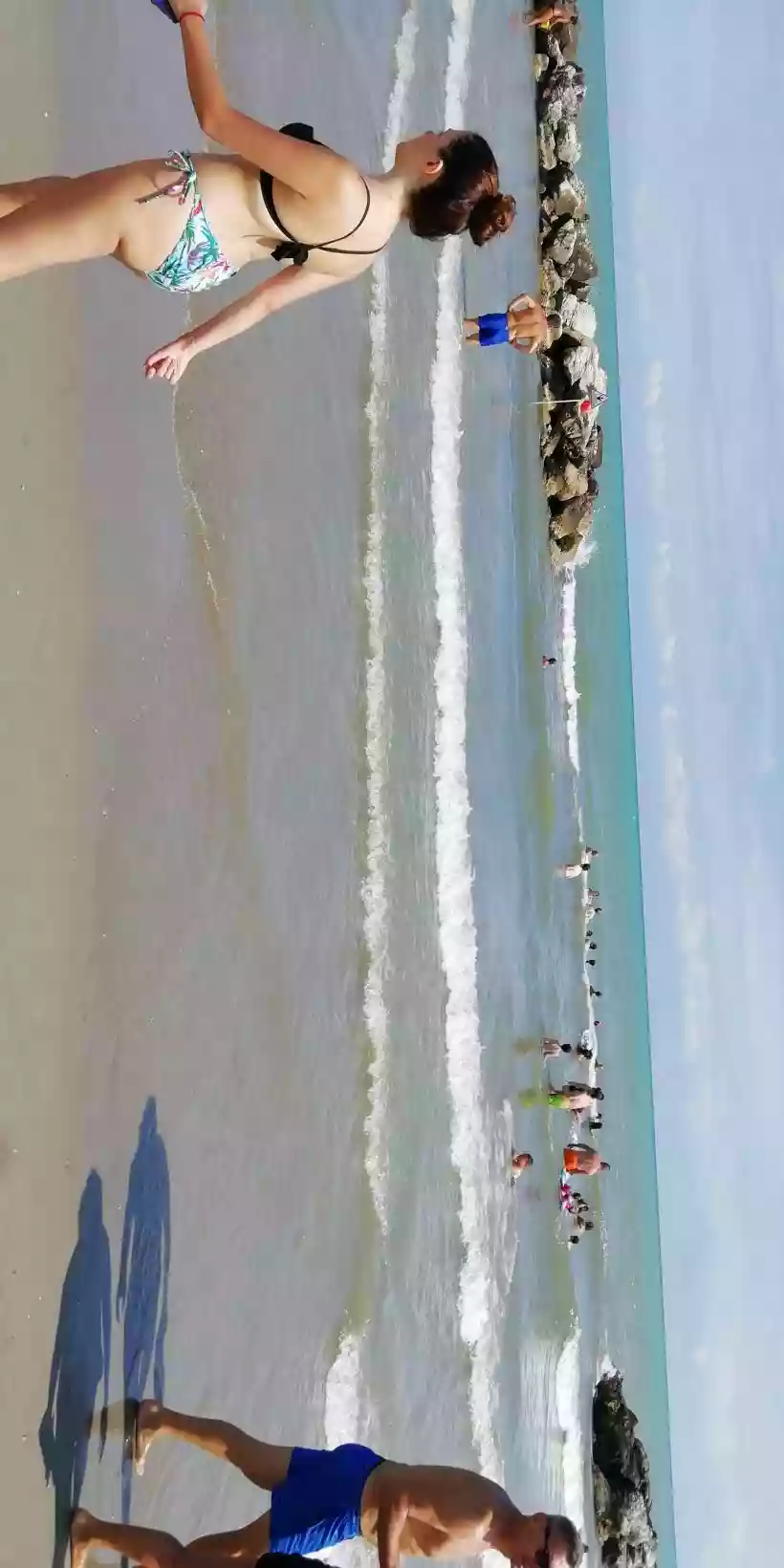 Ingrandisci questa immagine