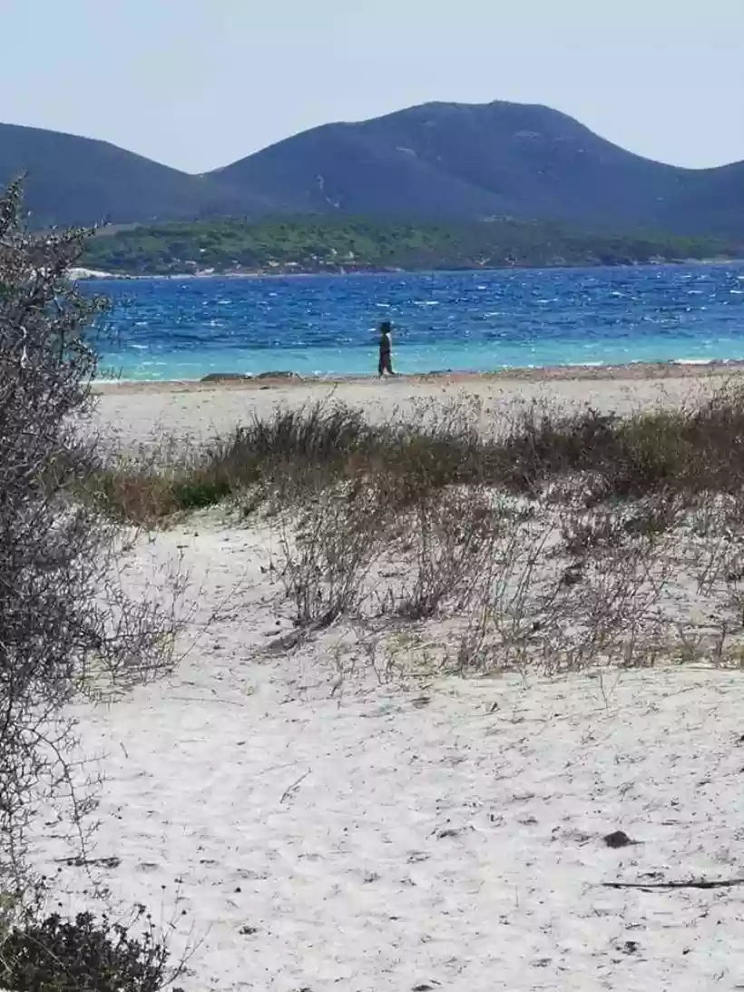 Ingrandisci questa immagine