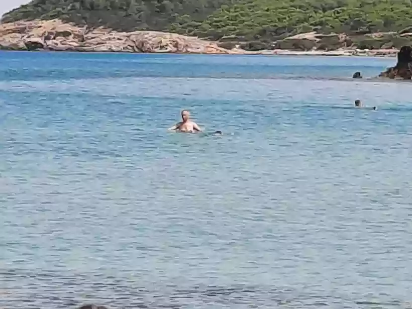Ingrandisci questa immagine