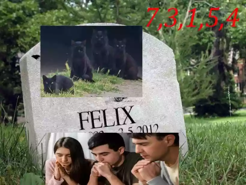 Ingrandisci questa immagine