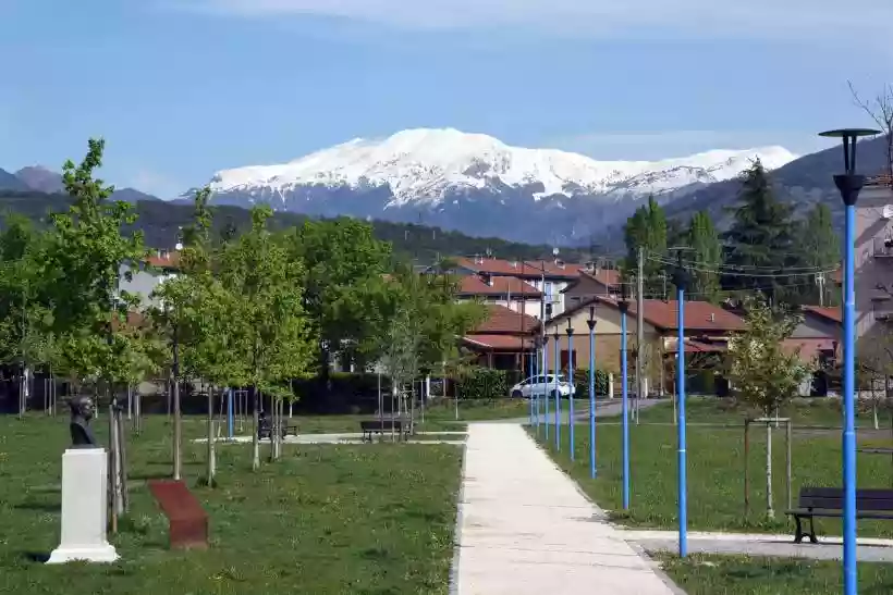Ingrandisci questa immagine