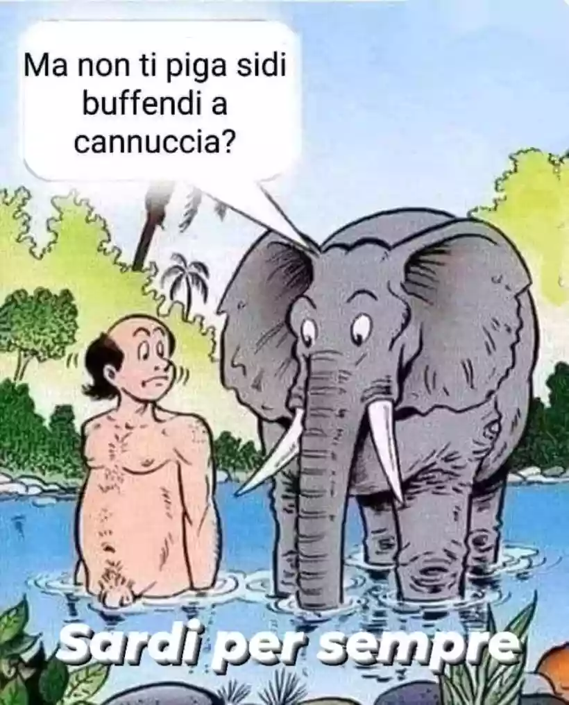 Ingrandisci questa immagine