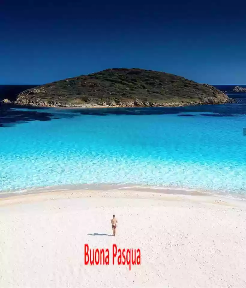 Ingrandisci questa immagine