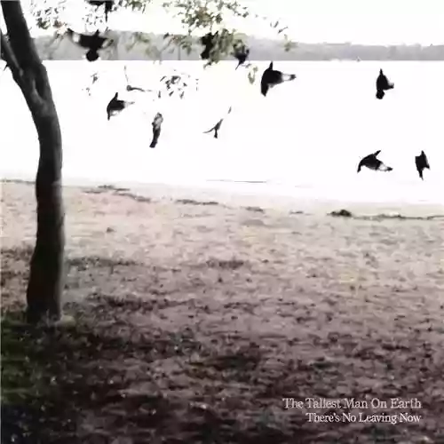 Cover The Tallest Man on Earth - There's No Leaving Now