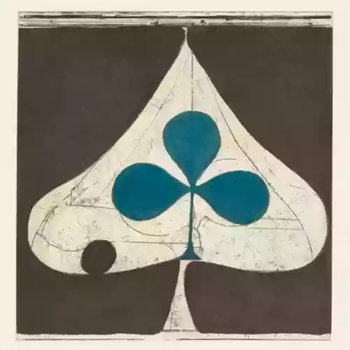 Copertina di Grizzly Bear: Shields