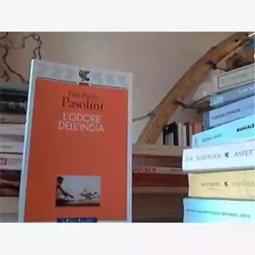 Copertina di Pier Paolo Pasolini: L'odore dell'India