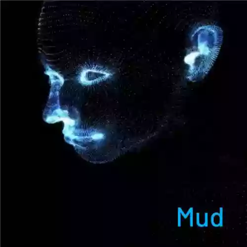 Copertina di Quietflow: Mud
