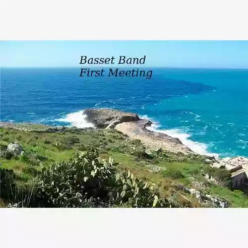 Copertina di Basset Band: First Meeting