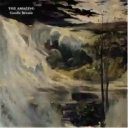 Copertina di The Amazing: Gentle Stream