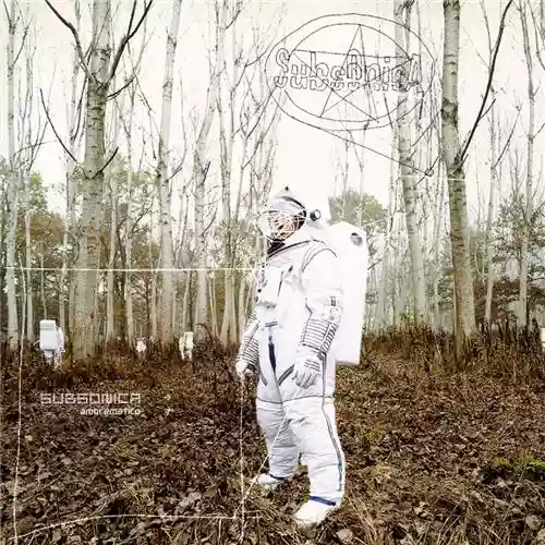 Copertina di Subsonica: Amorematico