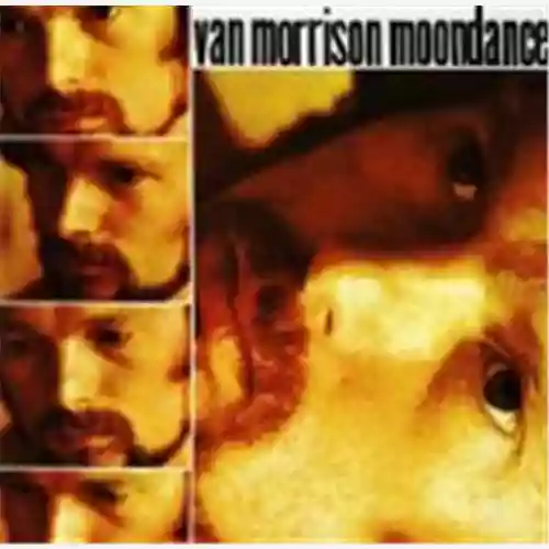Cover Van Morrison - Moondance