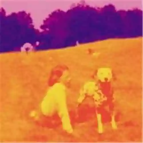 Cover Eels - Blinking Lights and Other Revelations