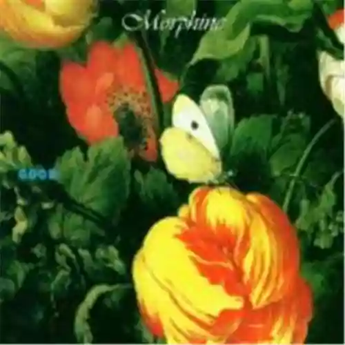 Cover Morphine - Good