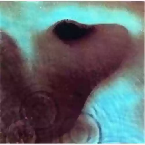 Cover Pink Floyd - Meddle