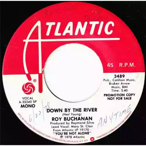 Copertina di Roy Buchanan: Down By The River