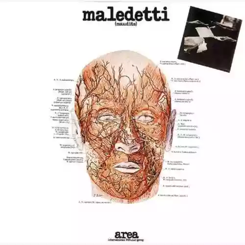 Cover Area - Maledetti (maudits)