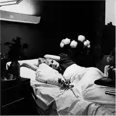 Antony & The Johnsons: I Am A Bird Now