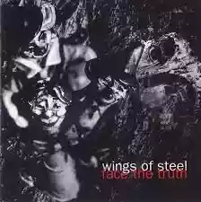 Wings of STeel: Face the Truth