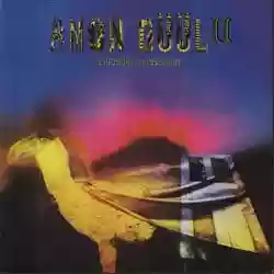 Amon Duul II: Carnival In Babylon