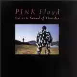 Pink Floyd: Delicate Sound of Thunder (disc 2)