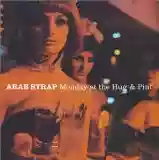 Arab Strap: Monday At The Hug And Pint