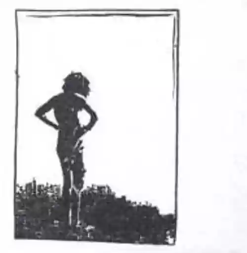 Cover di Discography