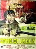 <b>Helrunar</b> • cane di paglia