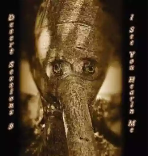 Cover di Desert Sessions, Vol 9 & 10